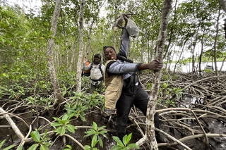 Field work